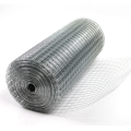 Electro/Hot Dipped Galvanized Welded Wire Mesh supplier